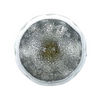 Neff Cooker Oven Lamp Bulb Lens Aseembly 00629694